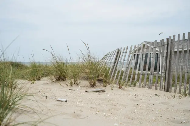 Weathered cedar fence and dune grass behind a Jersey Shore bungalow